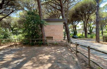 Il canto della pineta - Foto 28