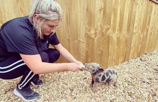 Hawthorn Cottage - Foto 37