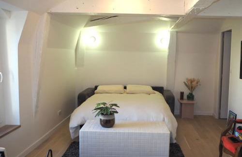 Les baleines - hypercentre 2 chambres avec garage et clim - air conditioning - Foto 18