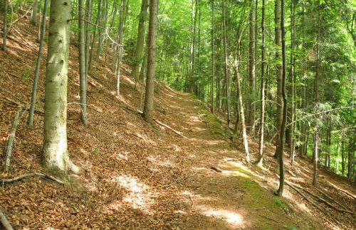 Krolowo Apartment - Photo 44