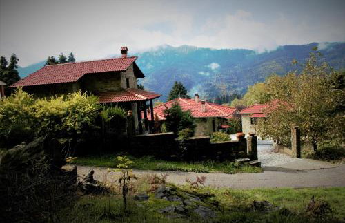 Τα Πέτρινα της Ελάτης - Petrina Elatis - Foto 2