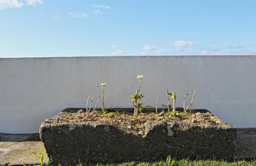 Vila Nova House - Photo 21