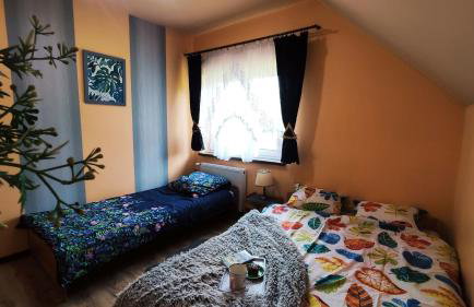 Apartamenty Pilsko Korbielów komfortowe mieszkania dla rodzin i narciarzy w Beskidach - Foto 11