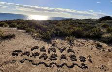 Stay in Novamar III - Foto 41