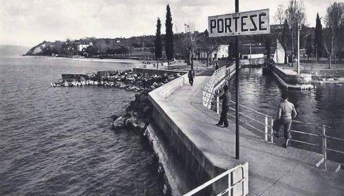 Prato Verde - Girasole - Foto 3