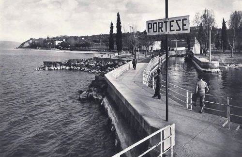 Prato Verde - Girasole - Foto 3