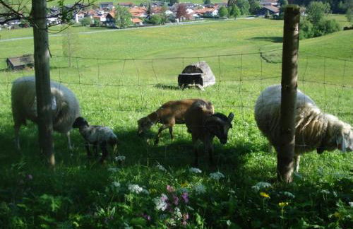 Schneider-Hof inkl. Chiemgaukarte - Foto 8