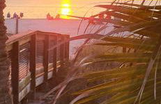 Sarasota Charm - Photo 38