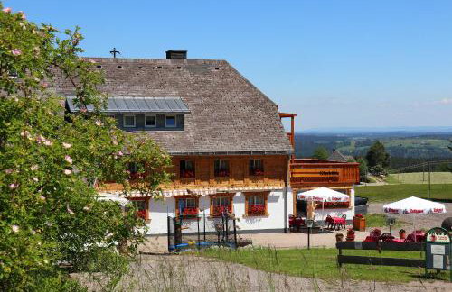 Ferienwohnung Waldrauschen in der Höhenpension Glashütte - Foto 2
