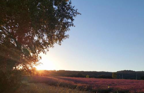 Appartement Roussillon - Photo 16