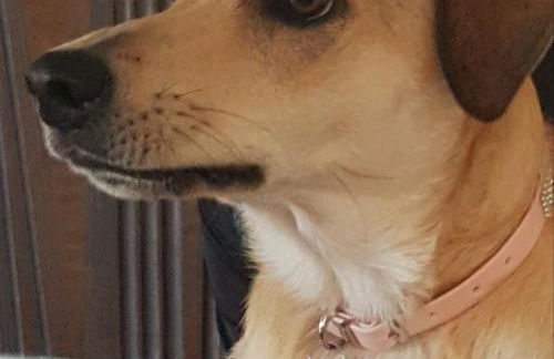 Residence Greco - Foto 41