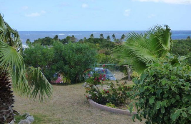 Milly's Inn - Foto 46