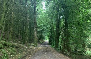 Tawny Owl Pod with Hot Tub - Foto 46