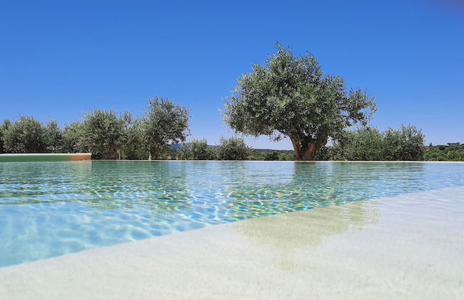 Quinta da Soneca Turismo Rural - Foto 37