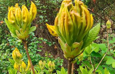 Leśniczówka Zielone Zakole - Foto 50