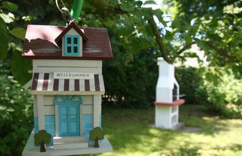 Reetdach Ferienhaus nahe Ostseebad Kühlungsborn - Foto 41