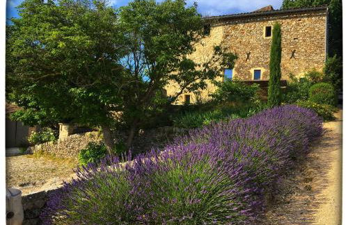 La Providence - Photo 21