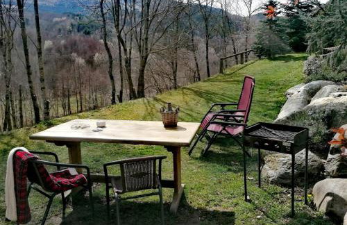 Els Pins d'Abella - Foto 55