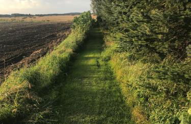 Peeneurlaub - Foto 56