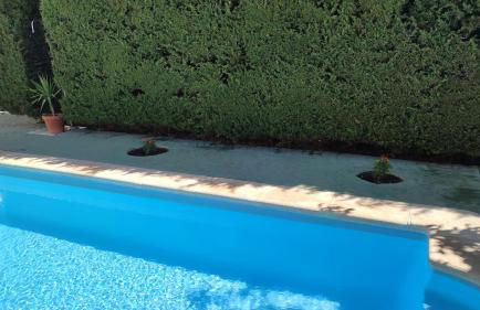 Cortijo El Algayubero - Foto 13