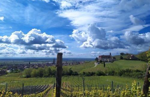 Le p'tit coin de chez nous - Foto 72