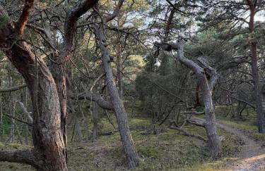 Ferienwohnung Sonnenschein - Photo 6