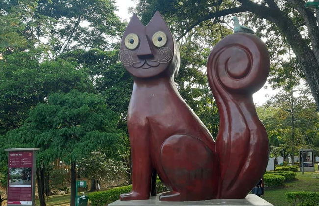 Tour in Cali - Photo 1