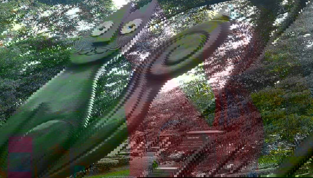 Tour in Cali - Foto 1