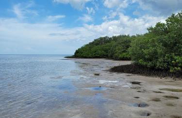 Coastal Cottage in Port Richey, Pet-Friendly Getaway Near Beaches, Parks, and Tampa - Foto 75