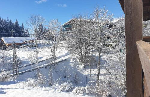 Appartement le StelO Les Gets 6 personnes aux pieds des pistes 2 chambres - Foto 16
