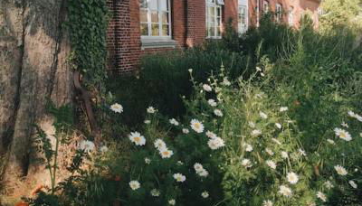 Urlaub auf einem alten Resthof am Meer - Foto 5