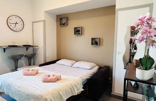 Studio Rénové et Meublé Le Cœur de Nice à Vos Pieds - Foto 1