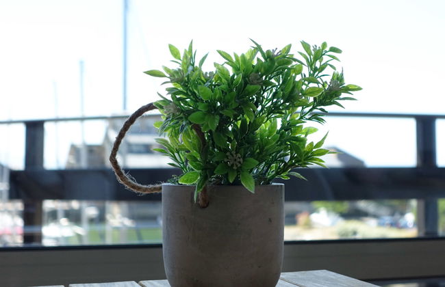 Les Marinas - Photo 5