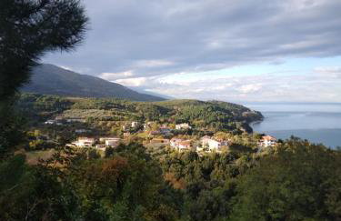 Villa Gialos Ηλέκτρα - Foto 5