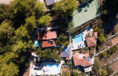 Villa Goga - Photo 9