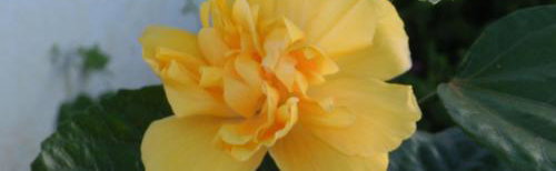 Próximo à represa - Photo 1