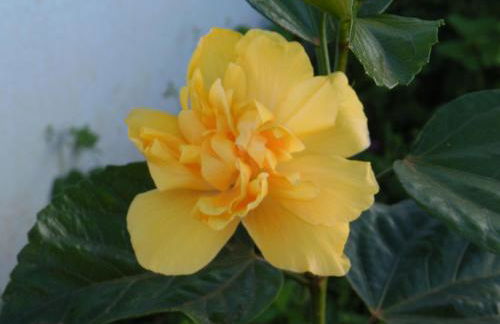 Próximo à represa - Foto 1