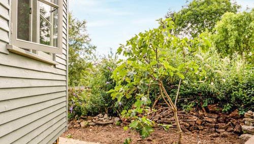 Fig Tree Shepherds Hut - Cottage - Foto 4