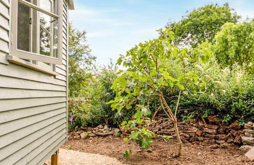Fig Tree Shepherds Hut - Cottage - Foto 4