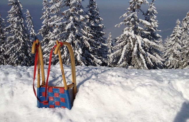 Apartment Hallstatt Dachstein Inn - Foto 39