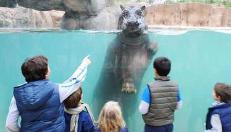 CASA VACANZA GIAVENO - 8 KM Sacra di San Michele - Foto 4