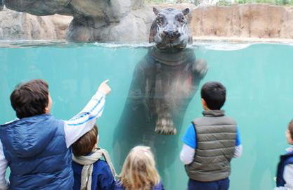 CASA VACANZA GIAVENO - 8 KM Sacra di San Michele - Photo 4