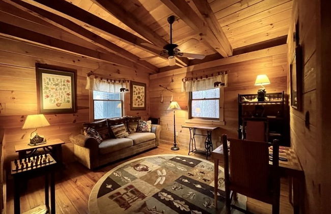 Leave the stress behind!- private hot tub, pet and motorcycle friendly, let peace and nature surround you! 2 Bedroom Home by RedAwning - Foto 14