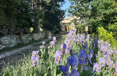 Mas de "La Garcine" - Foto 9