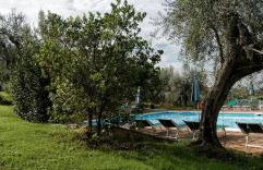 L'Agriturismo di Montalbino - Foto 15