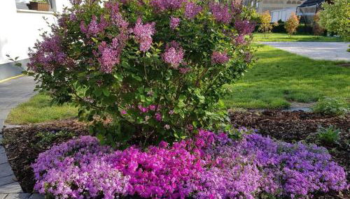 Spreedeich - Photo 4