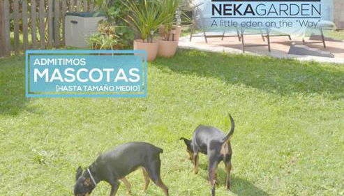 CASITA NEKAGARDEN - Foto 3