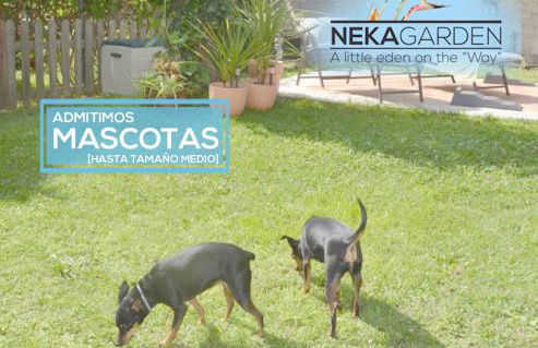 CASITA NEKAGARDEN - Foto 3