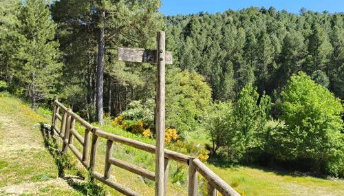 La Guijarroseña , Rio Madera - Foto 5