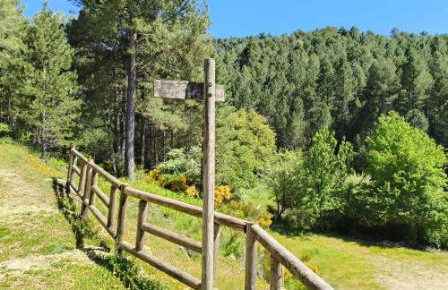 La Guijarroseña , Rio Madera - Foto 5